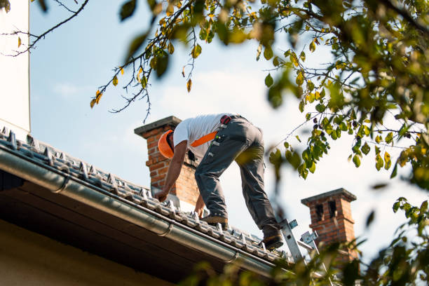 Fast & Reliable Emergency Roof Repairs in Pine Canyon, CA